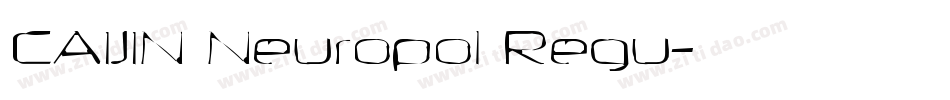 CAIJIN Neuropol Regu字体转换